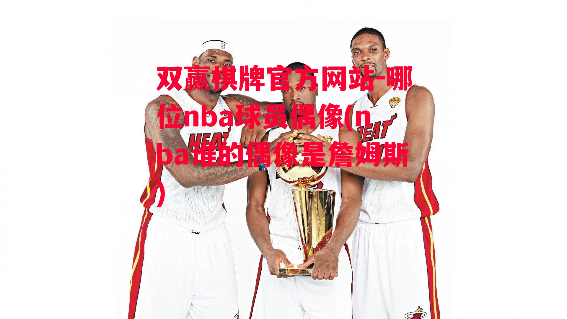 哪位nba球员偶像(nba谁的偶像是詹姆斯)